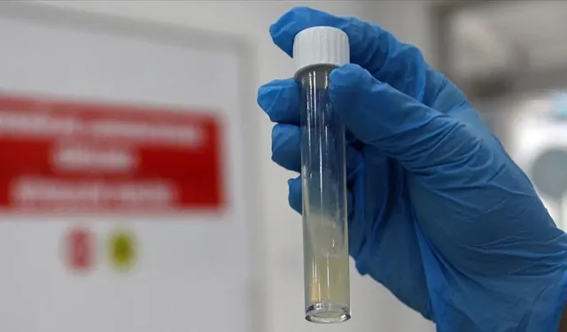 Tüberküloz her yıl 1 milyon can alıyor