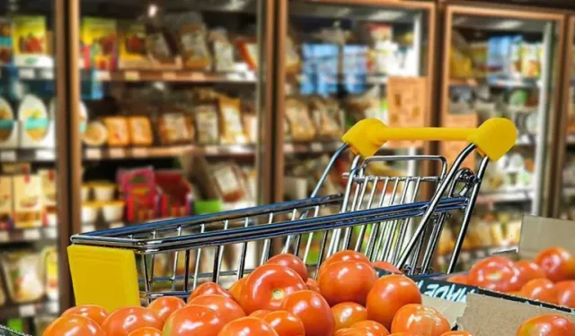 Kasım ayında ekonomik güven endeksi 99,5 seviyesine yükseldi