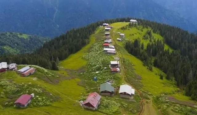 Koca orduyu bile devirmişti: CNN’den “deli bal” haberi