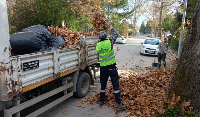 Kütahya 30 Ağustos Mahallesi’nde yaprak temizliği yapıldı
