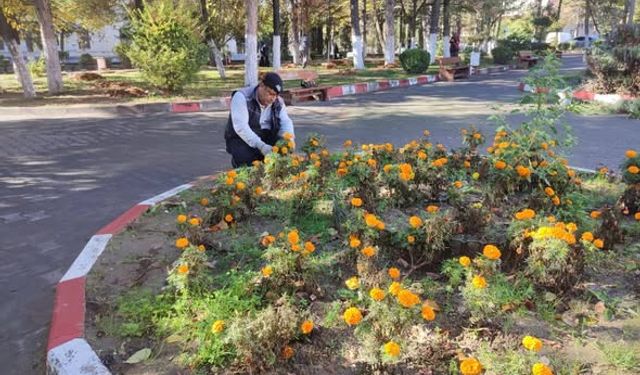 Kütahya Gediz’de yeşil alanlarda temizlik ve budama sürüyor