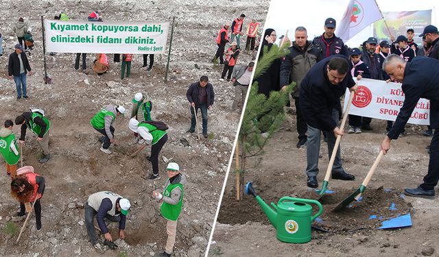 Kütahya’da binlerce fidan toprakla buluştu