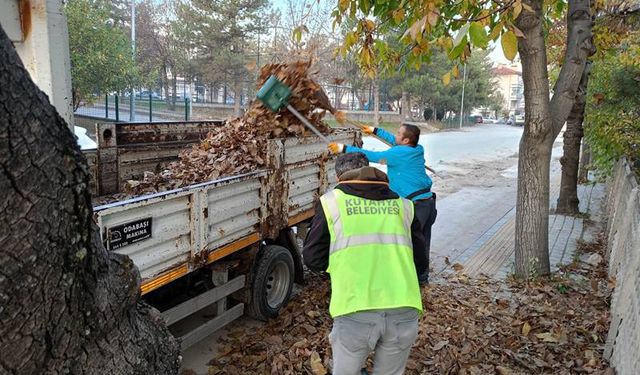 Kütahya’da sabah mesaisi: Cumhuriyet Mahallesi’nde yaprak temizliği