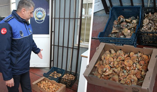 Kütahya’da semt pazarları denetleniyor