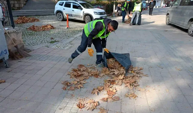 Kütahya’da Sonbahar yaprakları temizleniyor