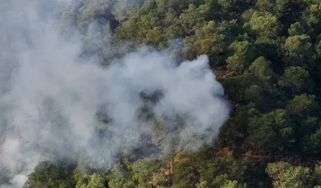 Muğla’da çıkan orman yangını kontrol altına alındı