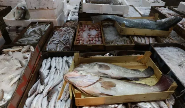 Şeflerin tercihi: En sağlıklı balık seçildi