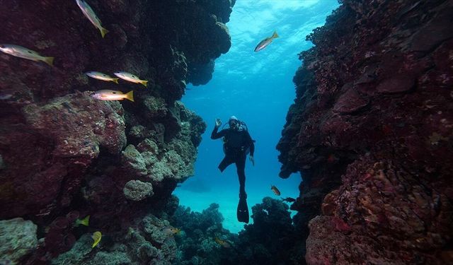 Tahsin Ceylan, engelli dalgıç Özgür Akçı’yla Kızıldeniz’e daldı