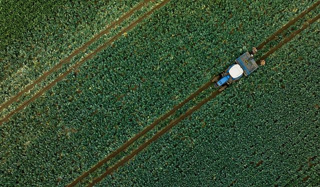 Çiftçilere 1,1 milyar liralık destek ödemesi bugün hesaplarda