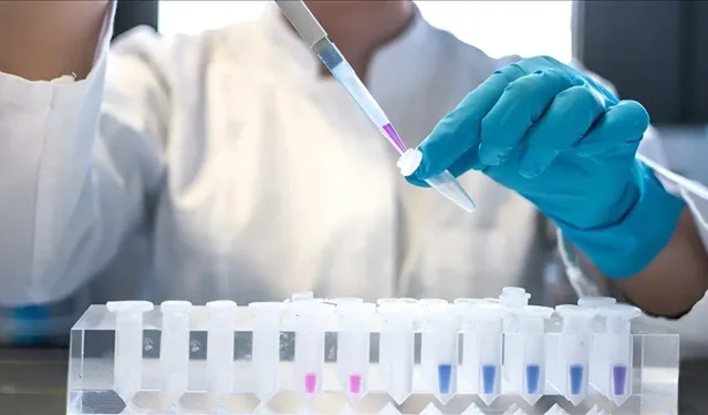 DSÖ: 2024’te 1,3 milyon kişi AIDS hastalığına yakalandı