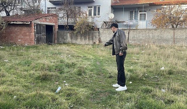 Eskişehir'de boş arazide 8 ölü kedi bulundu