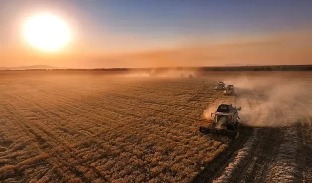 IPARD-III Programı Kasım dönemi ödemeleri 376,8 milyon TL