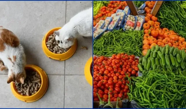 Kasımda fiyatı en çok artan ve düşen ürünler açıklandı