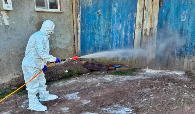 Kütahya Çavdarhisar’da hayvancılık işletmelerine dezenfeksiyon çalışması