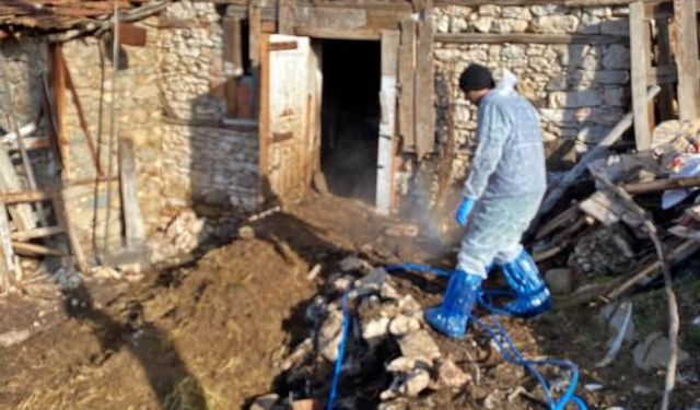 Kütahya Domaniç’te hayvan sağlığı için dezenfeksiyon çalışması yapıldı