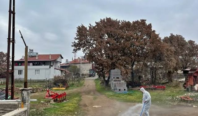 Kütahya Gediz’de hayvancılık işletmelerinde dezenfeksiyon çalışması