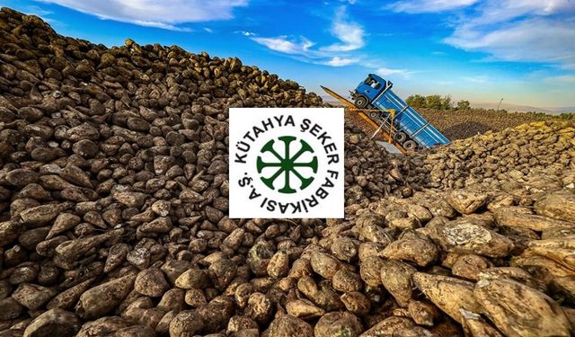 Kütahya Şeker Kimin, Devletin mi? KTSKR Hisse Bölündü mü, Kaç Lotu Var?