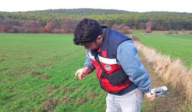 Kütahya Tavşanlı’da demonstrasyon arazilerinde gözlem