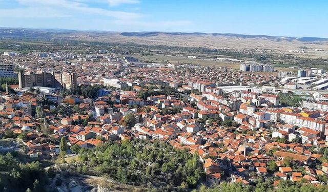 Kütahya'nın o ilçesinde bedava dağıldı! Bakanlık devreye girdi