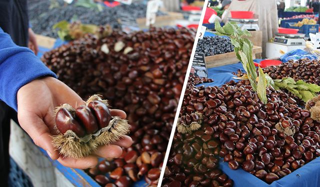 Kütahya’da vatandaşların kestaneye ilgisi arttı