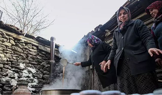 Orman köylüsüne devlet desteği! İşte yeni gelir kapısı