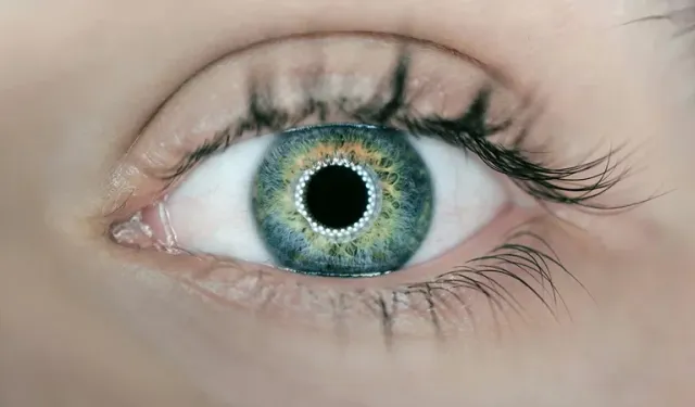 Tıp tarihinde devrim ilk 3D yazdırılmış kornea nakli