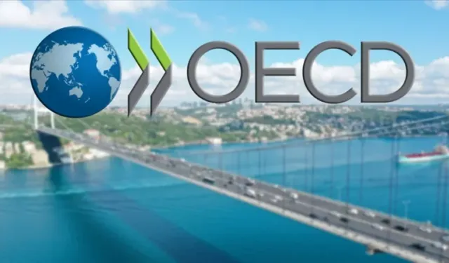 Türkiye OECD’nin en hızlı büyüyen 4’üncü ekonomisi oldu