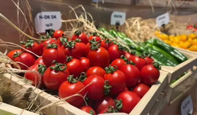 Türkiye’den sebze tohumu ihracatında rekor artış