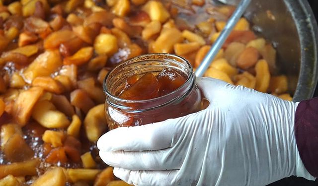 Balıkesir’de kurulan kooperatif kadınlara gelir kapısı oldu