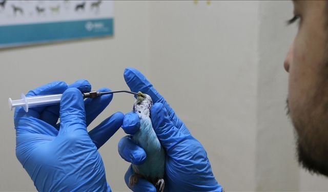 Kuş sevgisiyle Türkiye’nin nadir hekimlerinden