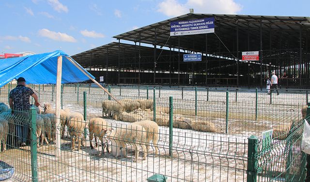 Kütahya Canlı Hayvan Pazarı’nda yeni gelişme