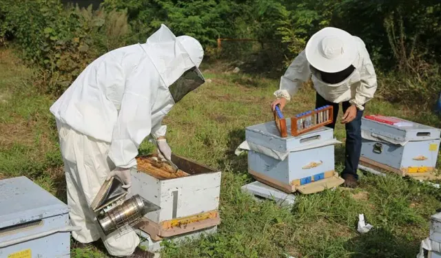 Kütahya’da arıcılara hibeli yem desteği projesi