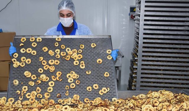 Meyve sebze tedarikçisi, devlet desteğiyle işletme sahibi oldu