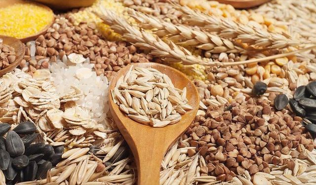 Trakya’dan 2025’te 2,2 milyar dolarlık ihracat