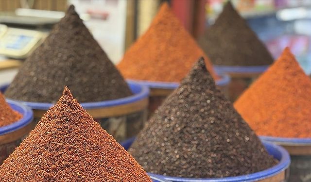 Türkiye 2025 yılında 14 milyon dolarlık pul biber sattı