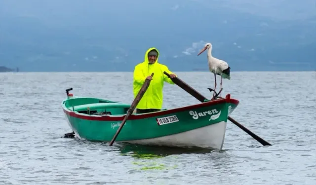 Bursa’da yaren leylek 15. yılda da geldi