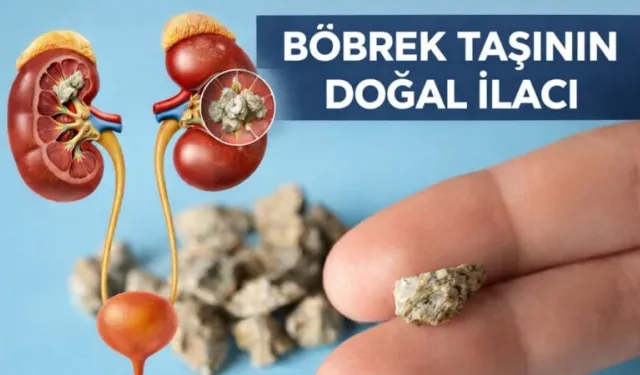 Her gün 1 avuç maydanoz bu hastalığa iyi geliyor