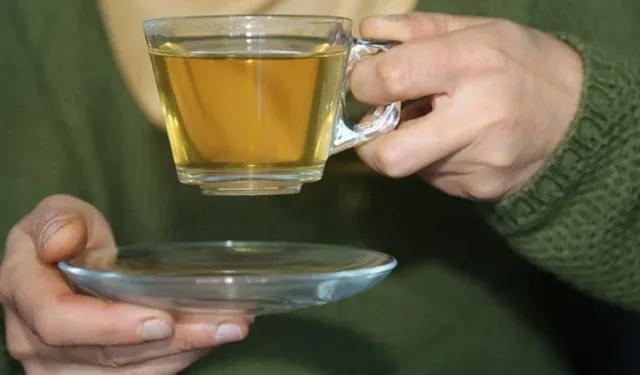 İftar sonrası hazımsızlığa iyi gelen 5 bitki çayı