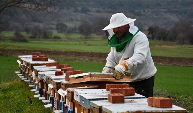 “Köyde bir kovanın olsun” projesiyle 50 kovan sahiplendirildi