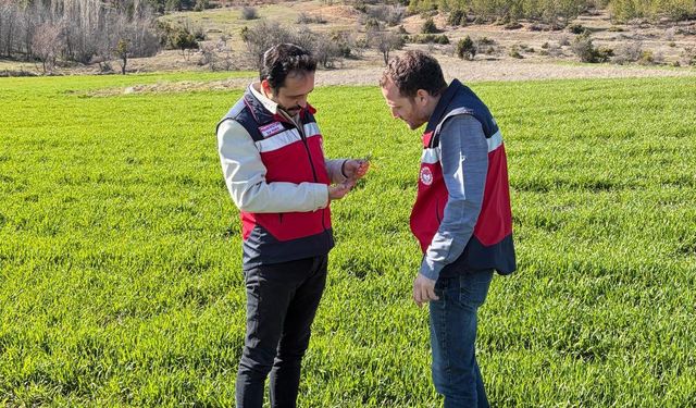 Kütahya Çavdarhisar’da fenolojik gözlem çalışmaları yapıldı