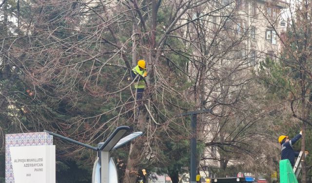 Kütahya’da Zafer Meydanı’nda ağaç budama çalışması yapıldı