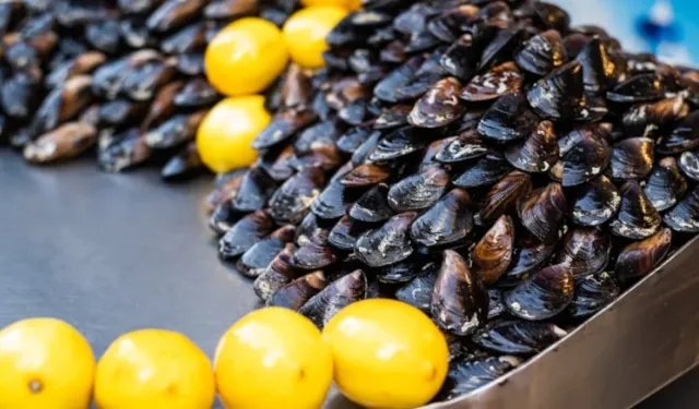 Midye severlere kötü haber! iki virüs tespit edildi