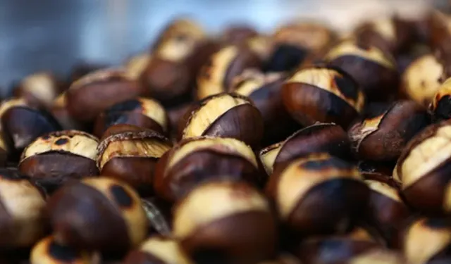 Ocakta hallerin en pahalı ürünü belli oldu