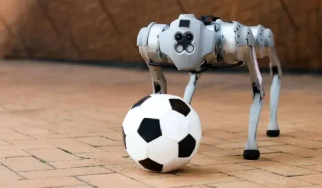 Robot köpekler Dünya Kupası'nda görev alacak