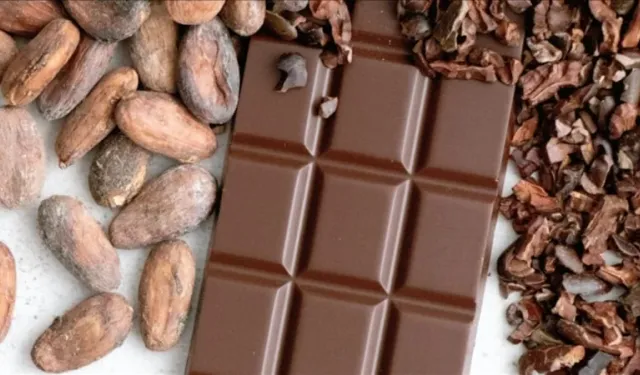 Türkiye üretmediği kakaoda ihracat rekoru kırdı