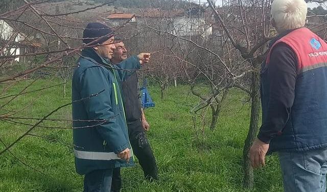 Kütahya Ulucam’da Hünnap projesine yerinde teknik inceleme