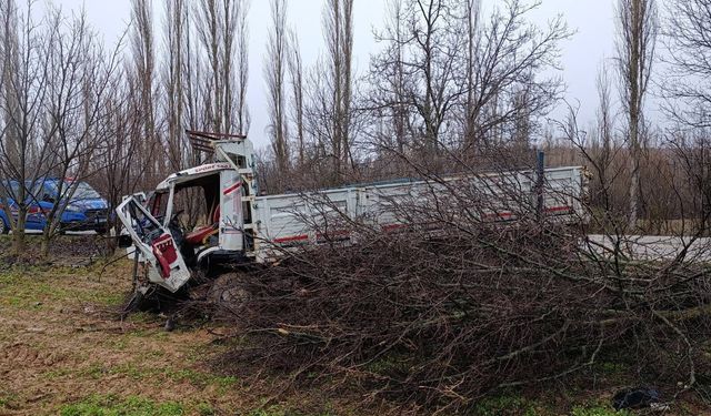Uşak'ta kamyonun ağaçlara çarpması sonucu 4 kişi yaralandı