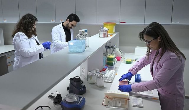 Türk Araştırmacılar Kanser tedavisinde yan etkileri azaltacak projeye öncülük edecek