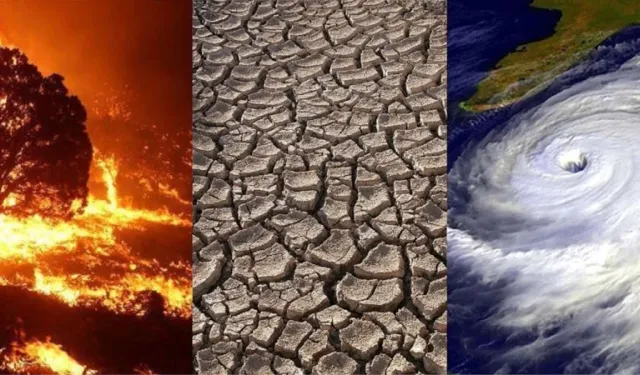 Dünya ikliminde kırmızı alarm: En sıcak 11 yıl geride kaldı