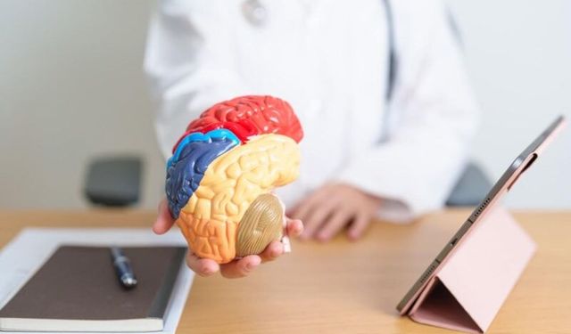 Hareketsiz yaşam beyni küçültebilir: Egzersiz zihni koruyor